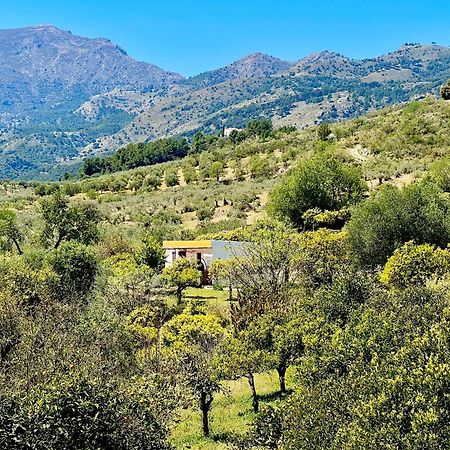 Appartement Finca Martina à Casarabonela Extérieur photo