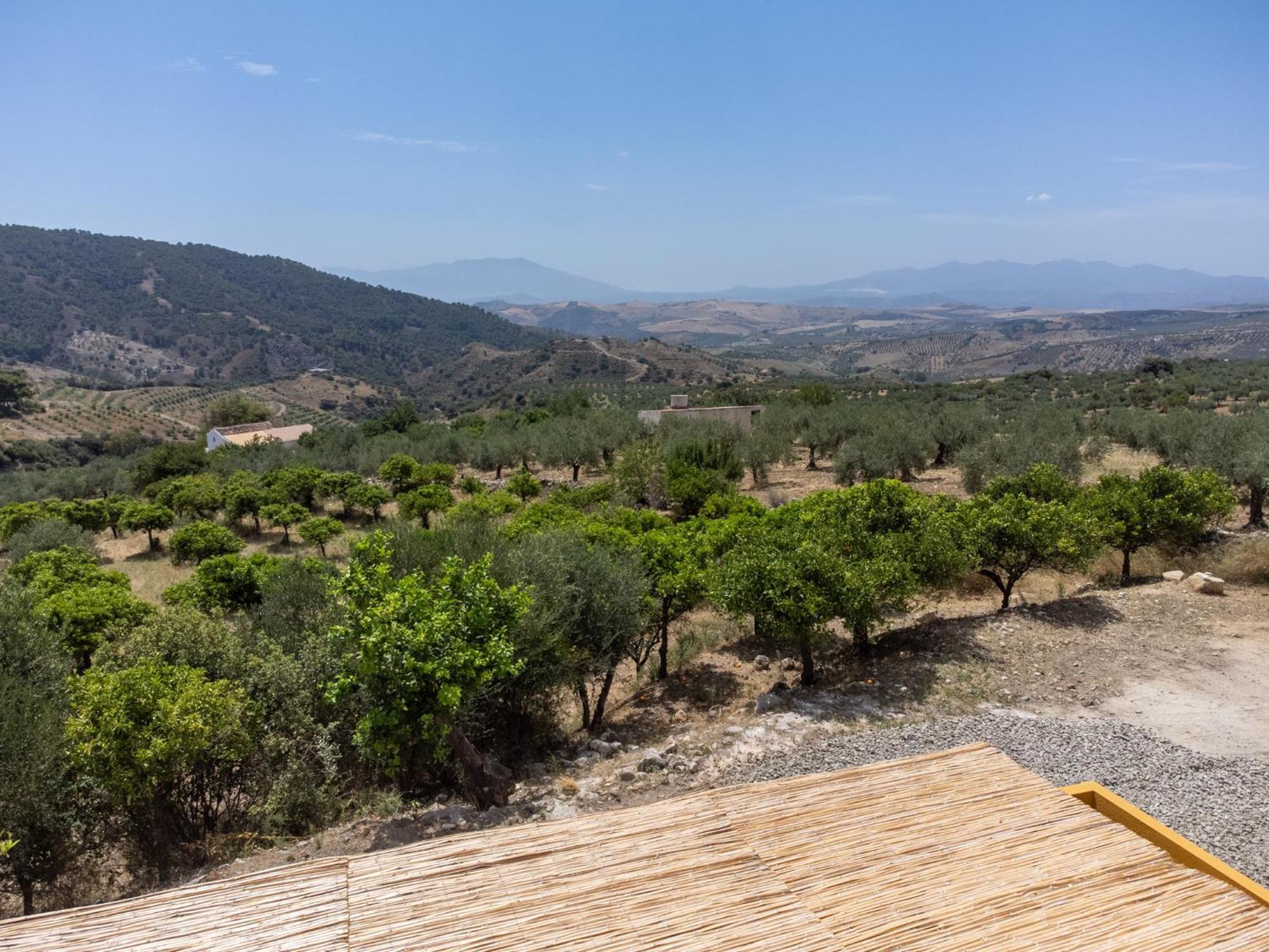 Appartement Finca Martina à Casarabonela Extérieur photo