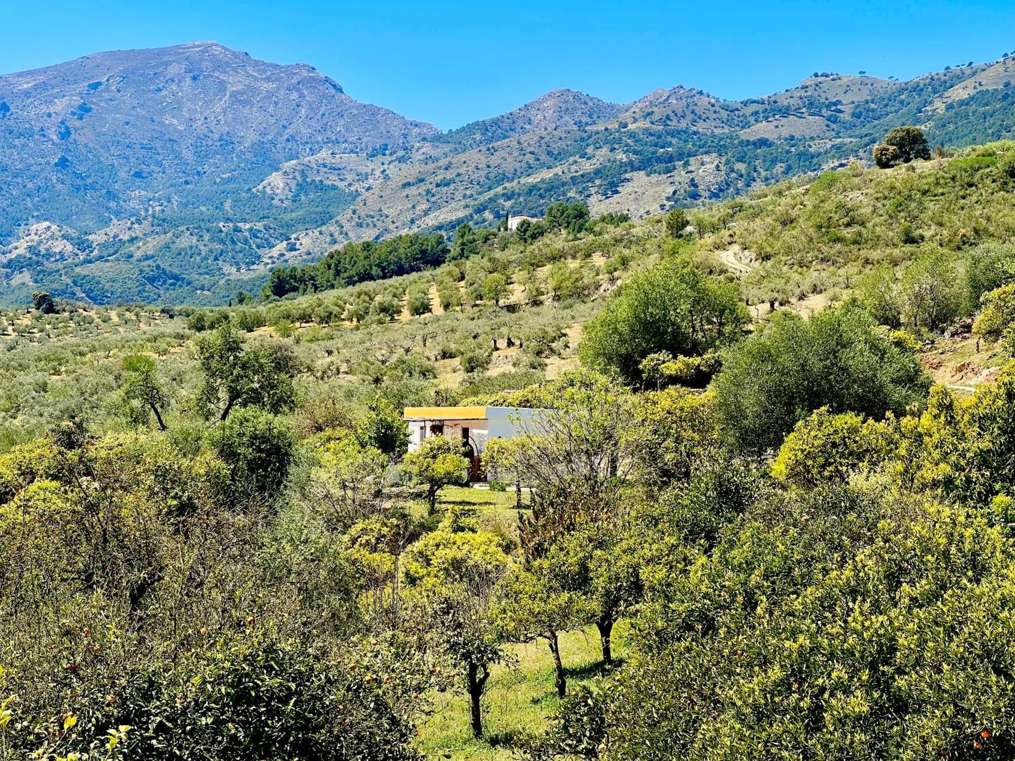 Appartement Finca Martina à Casarabonela Extérieur photo